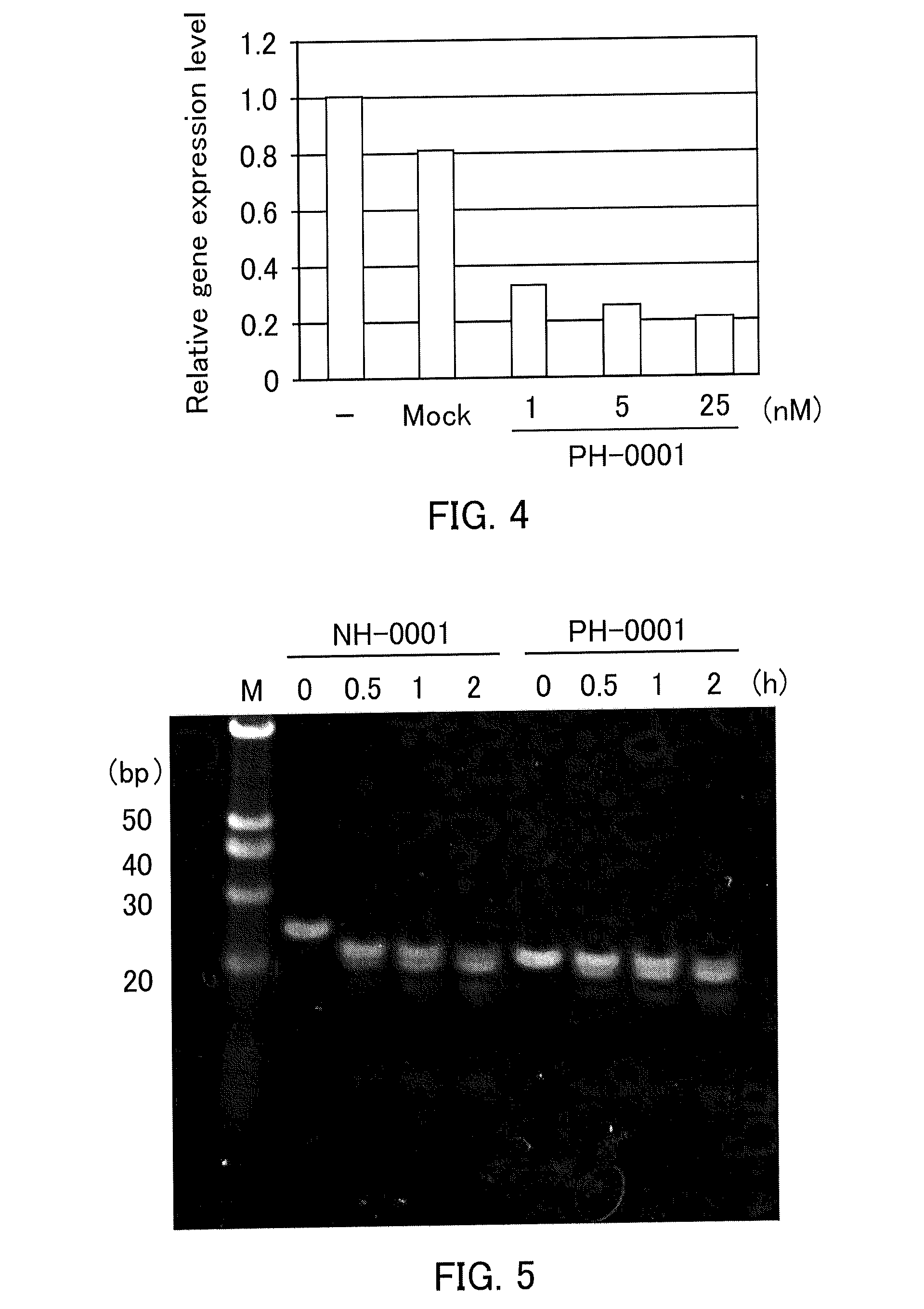 Single-stranded nucleic acid molecule having nitrogen-containing alicyclic skeleton