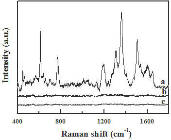 Cell probe complex for detecting human breast cancer cells MCF (Michigan cancer foundation)-7 based on Raman spectrum and method for preparing cell probe complex