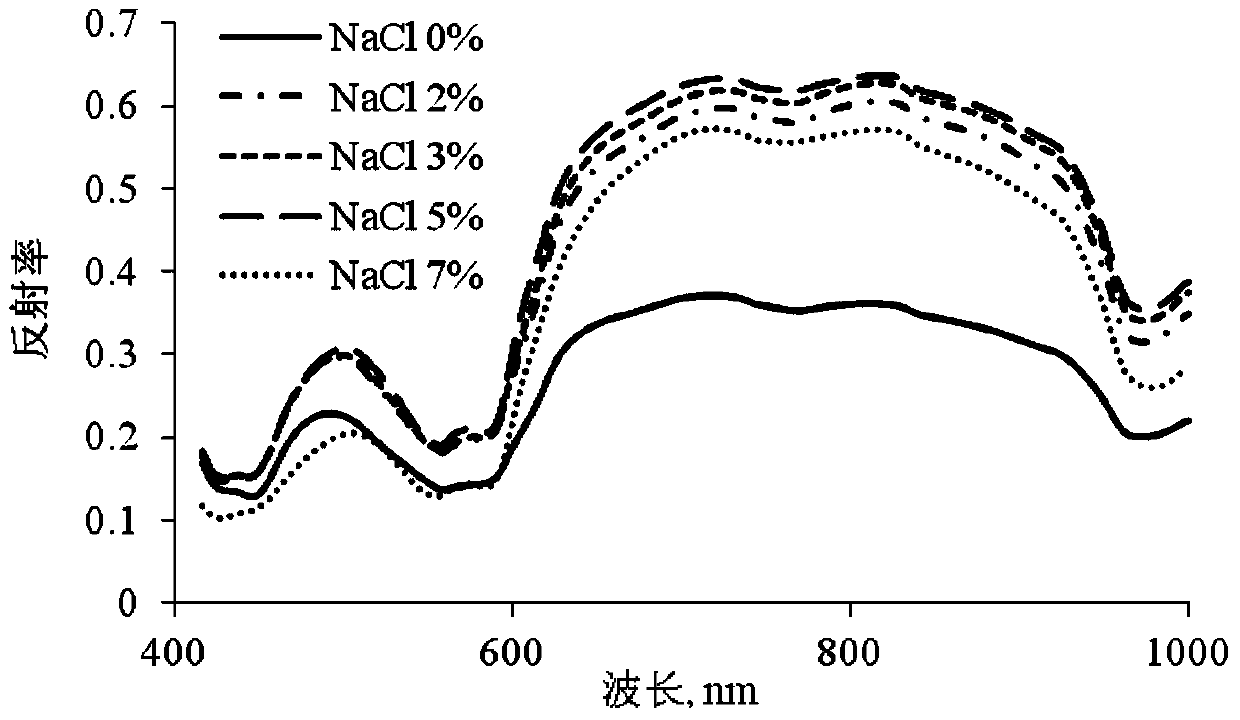 Method for rapidly measuring content of sodium chloride in salted meat