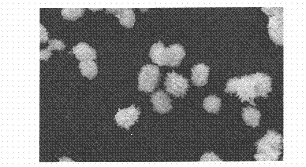 Preparation method of red fluorescent powder for LED (light-emitting diode)