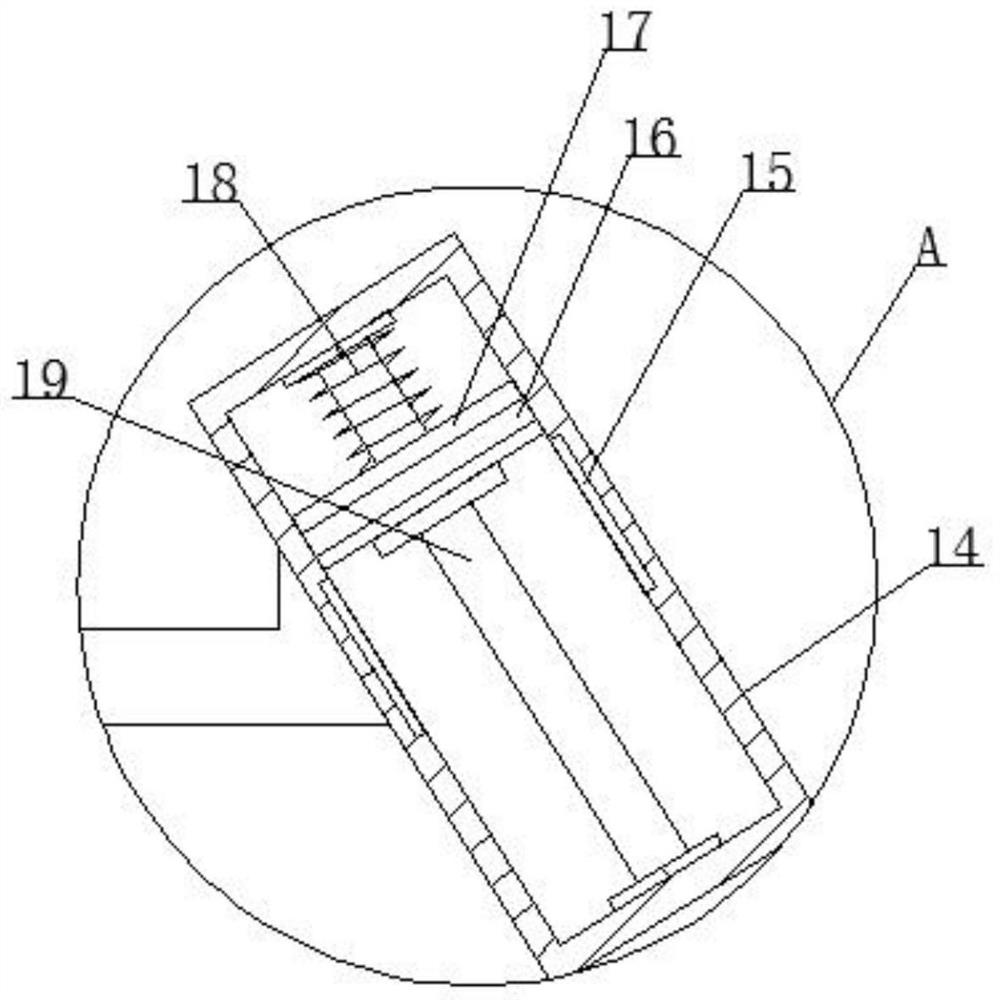 Device for removing peculiar smell of leatherware