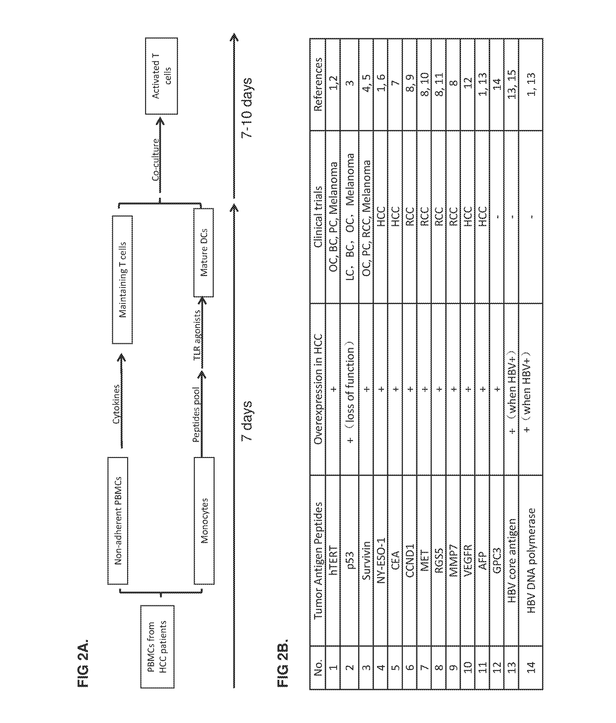 Methods of cancer treatment using activated t cells