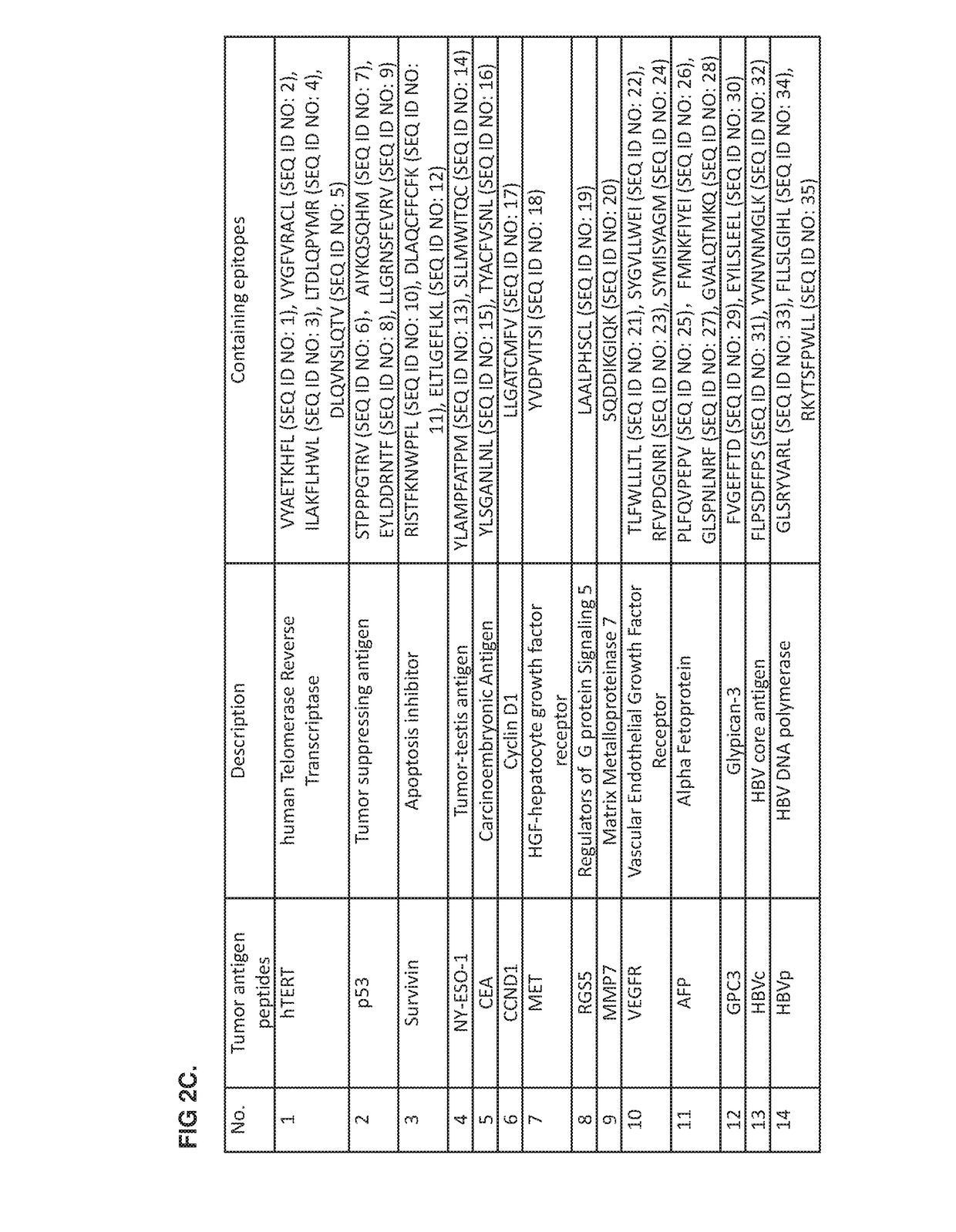 Methods of cancer treatment using activated t cells