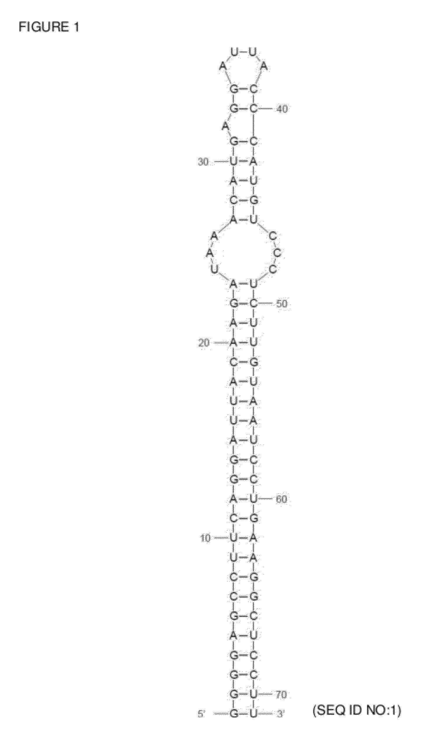 Encapsidation of heterologous entities into virus-like particles