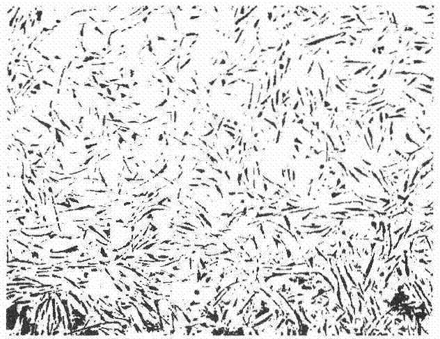 Kit and method capable of quickly separating adipose tissue-derived stem cells