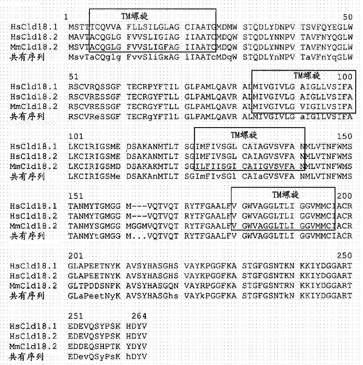 Antibodies Against Claudin 18.2 Useful in Cancer Diagnosis