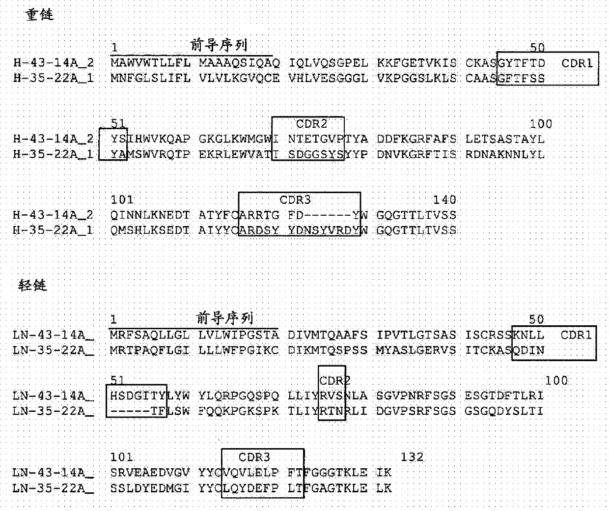 Antibodies Against Claudin 18.2 Useful in Cancer Diagnosis