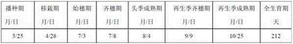 A method for two-harvest full-process mechanized rice cultivation