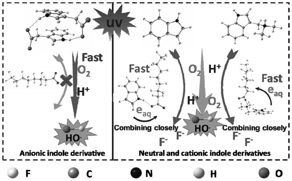 Method for efficiently treating perfluorinated compound polluted water body