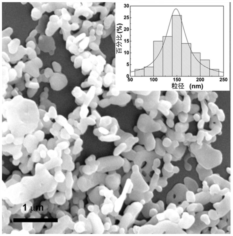 Cobaltous oxide photocatalytic material with high photoelectrocatalytic activity and preparation method thereof