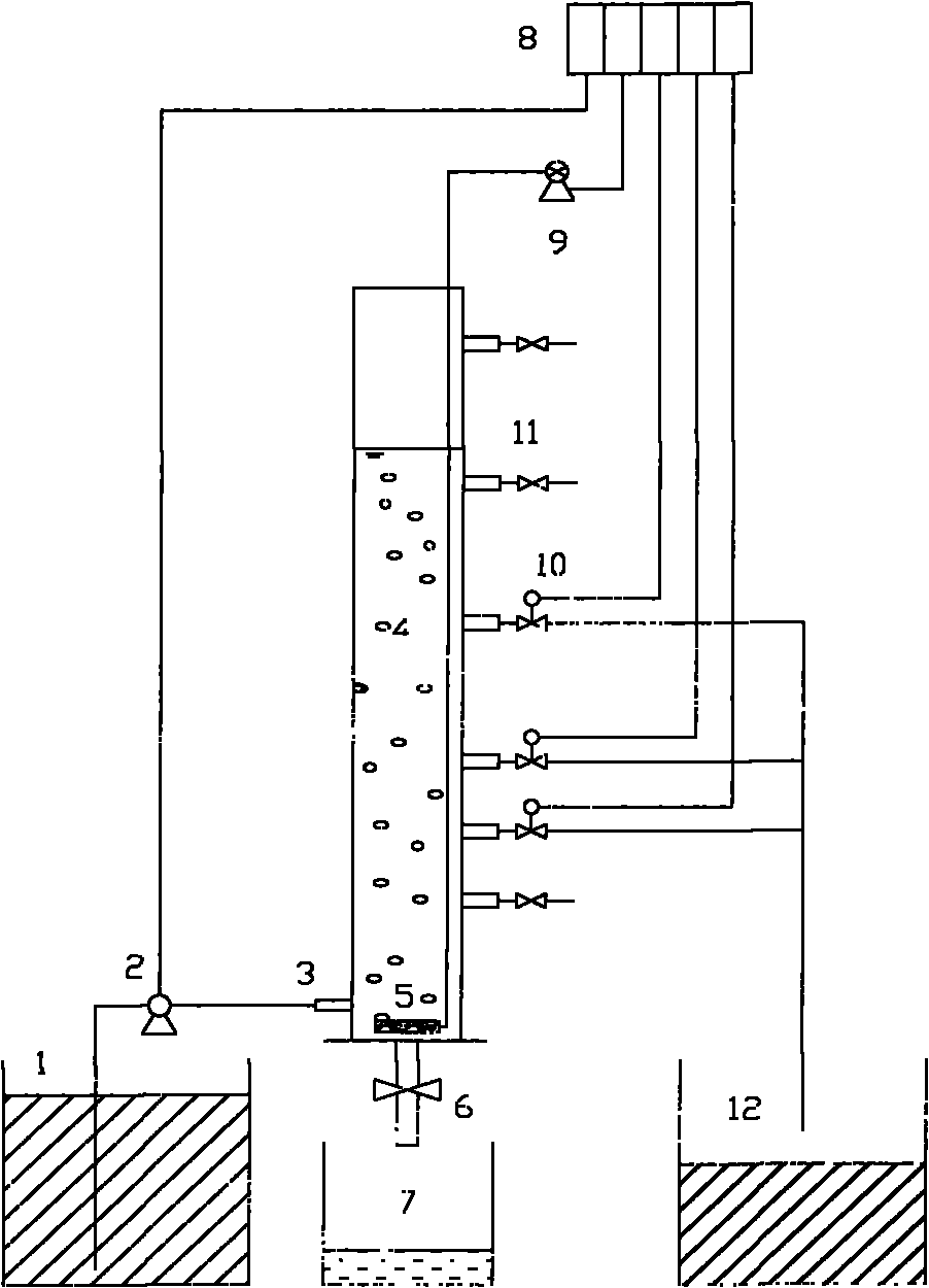 Aerobic granular sludge culture method suitable to low-concentration domestic sewage