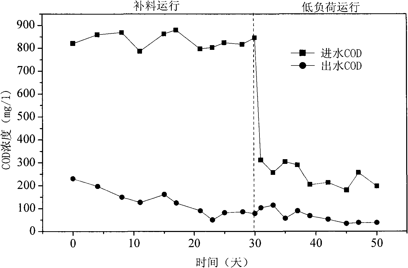 Aerobic granular sludge culture method suitable to low-concentration domestic sewage