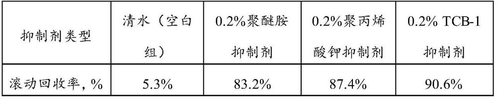 Strong-plugging hydrophobic high-performance water-based drilling fluid