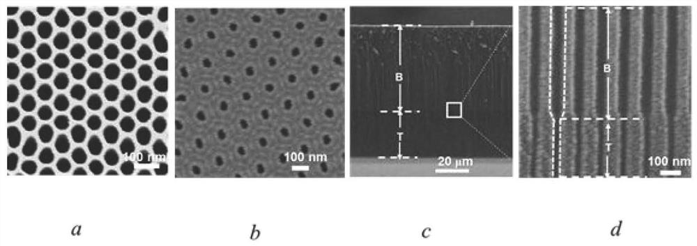 Bionic light capture device N3/PT1/AAO film as well as preparation process and application thereof