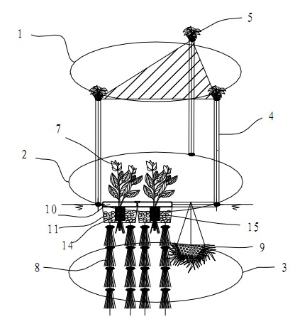 Purifier for ecological restoration of water body