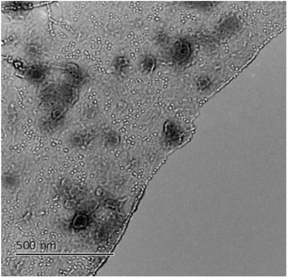 Single-layer mica sheet and preparation method and application of nanopore electronic device thereof