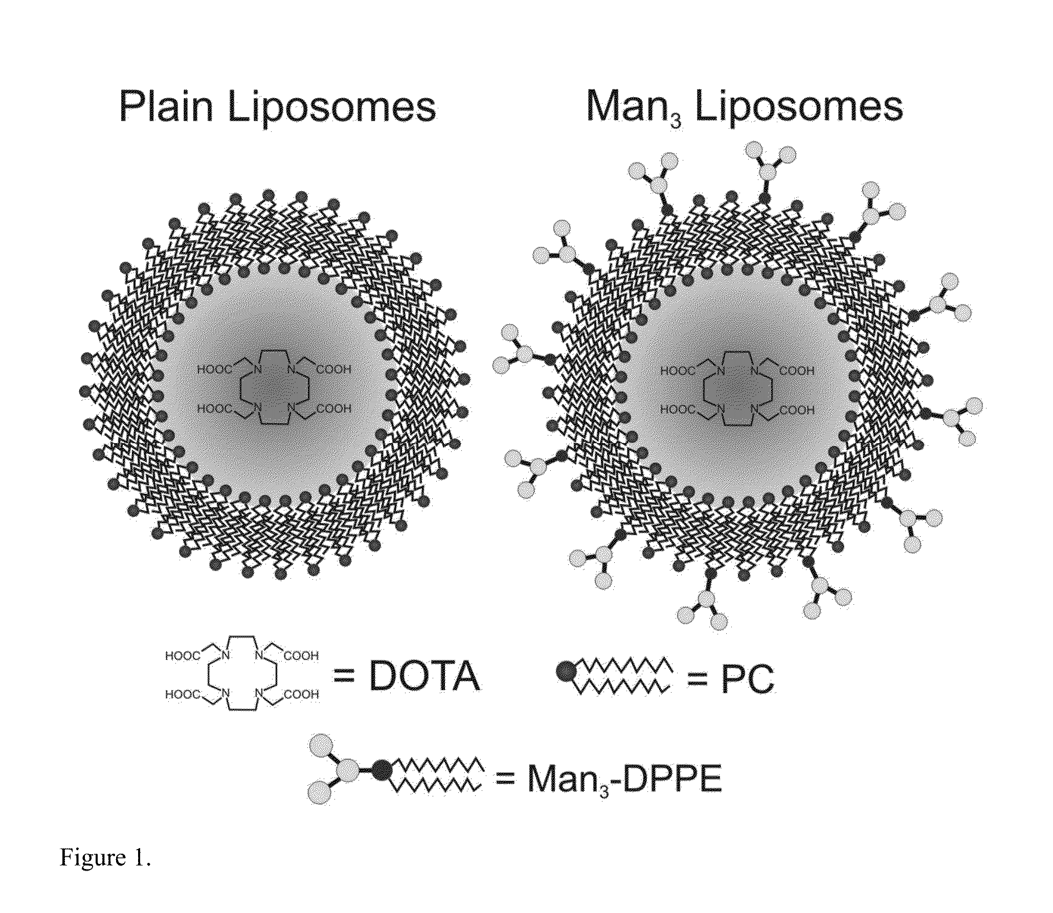 Compositions and methods for detecting and treating cancer