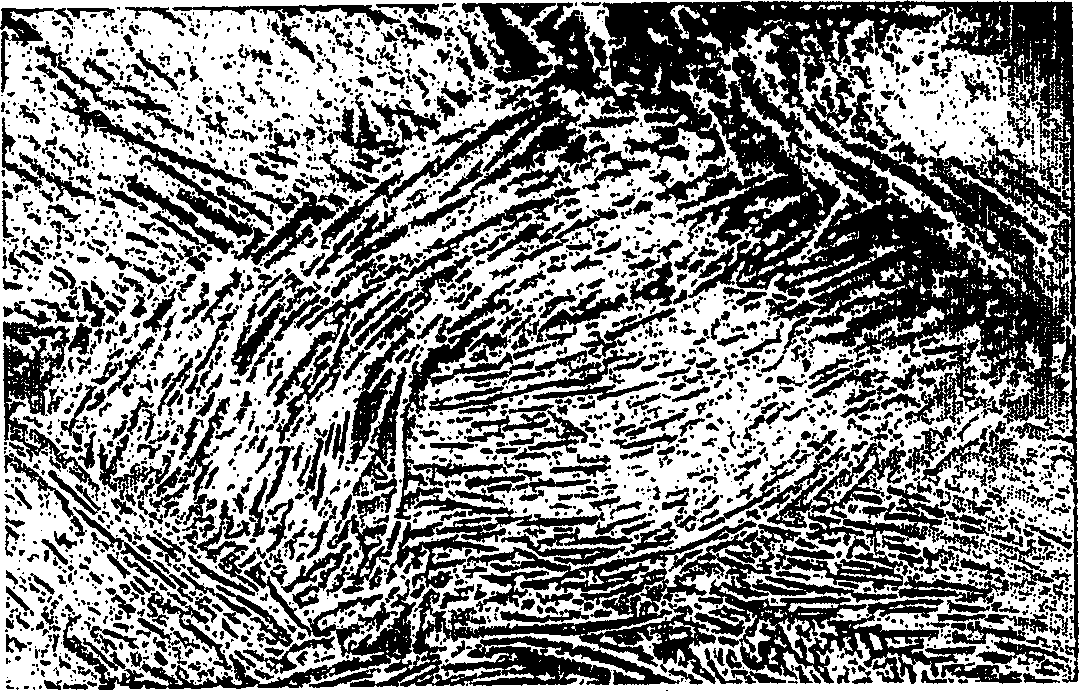 Carbon fiber friction material