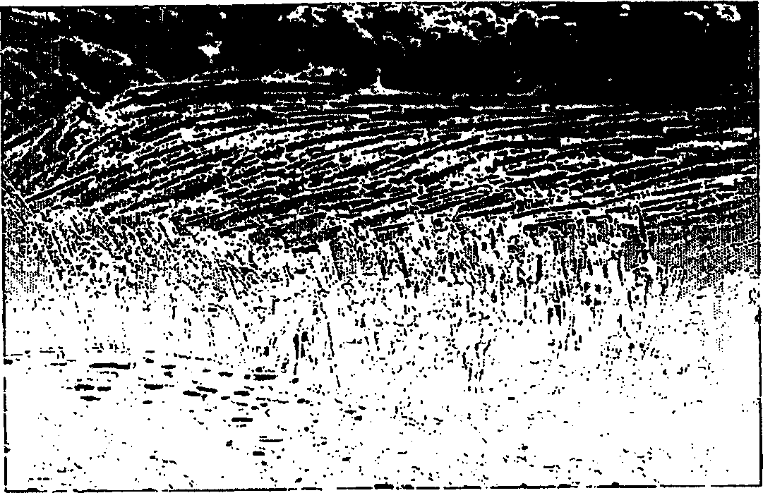 Carbon fiber friction material