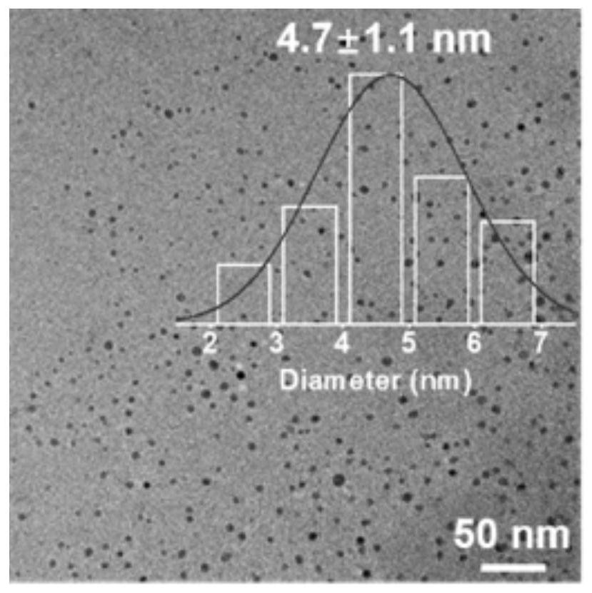 Carbon quantum dot hydrogel composite scaffold material and preparation method and application