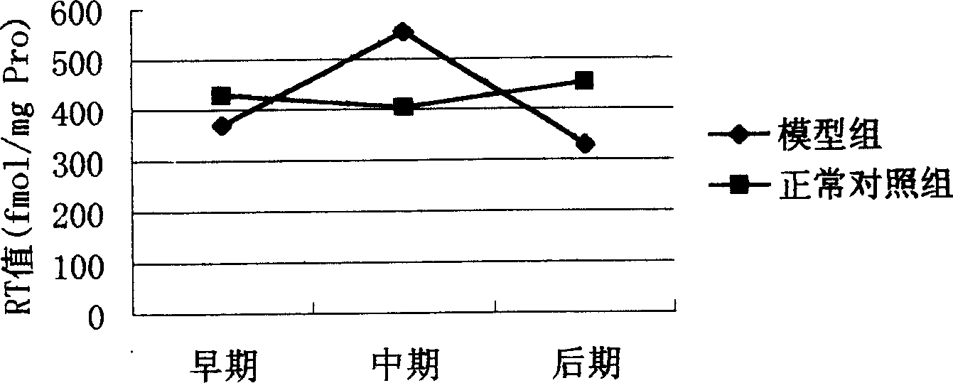 Building animal model of asthenopia based on tupaia belangeri as experiment animal