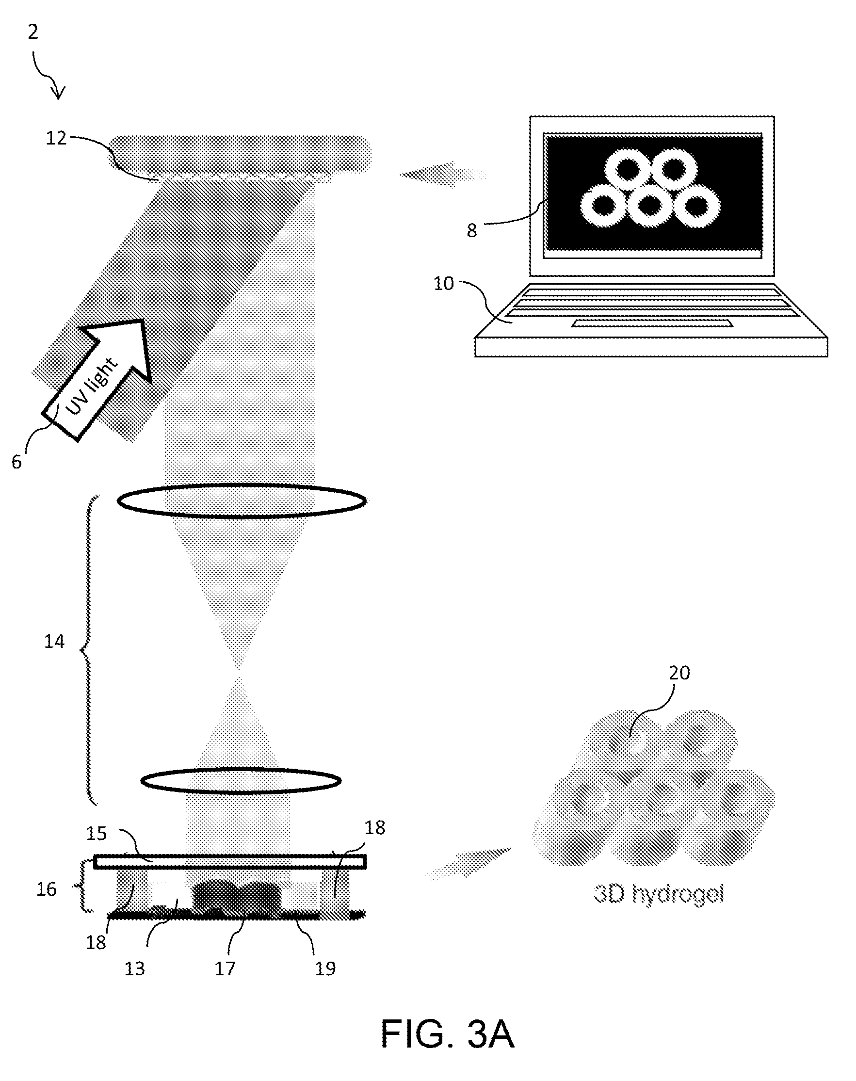 Liver-mimetic device and method for simulation of hepatic function using such device