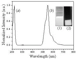 Method for preparing Y2O3:Tb&lt;3+&gt;@SiO2-NH2 fluorescence sensor array used for detecting organic chlorine pesticide