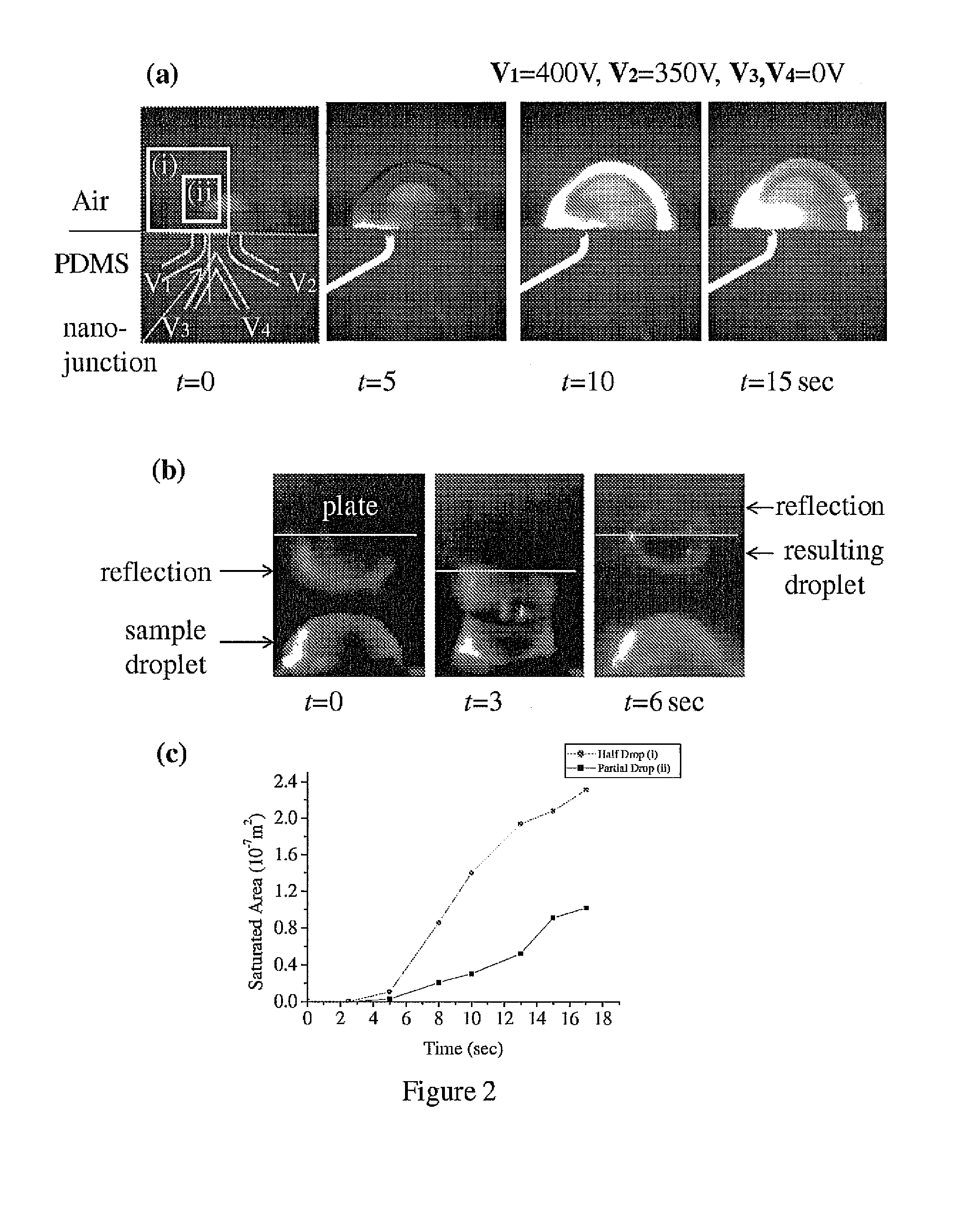 Nanofluidic preconcentration device in an open environment