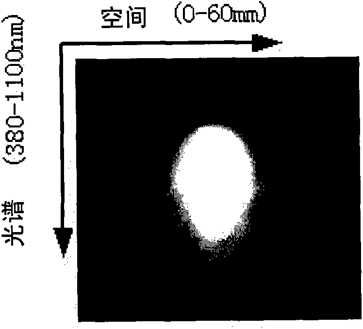 Non-destructive inspection method of total amount of meat bacteria