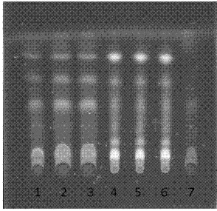 Method for detecting quality of traditional Chinese medicine composition for treating anemopyretic cold