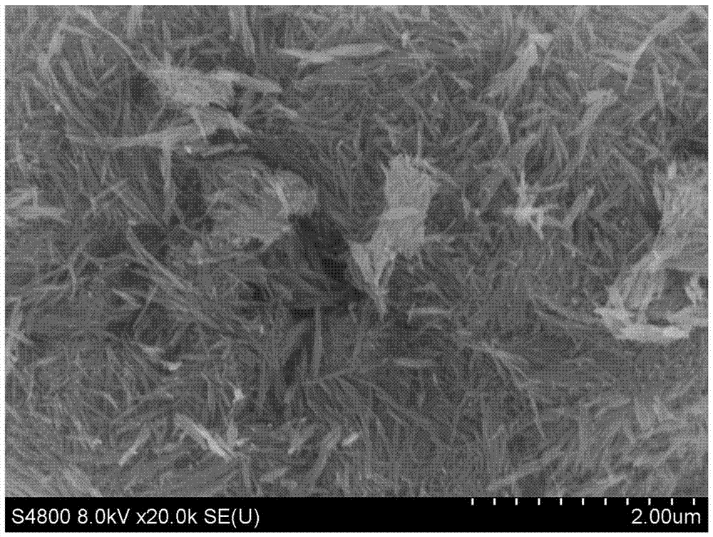 Cu-OMS-2 catalyst capable of effectively removing formaldehyde in real environment and preparation method of Cu-OMS-2 catalyst