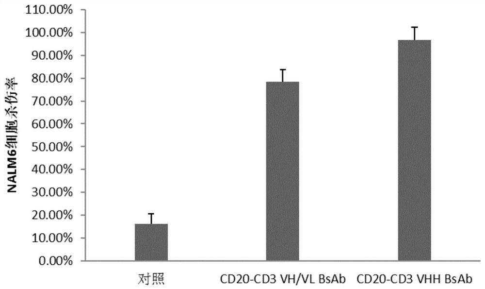 Bispecific antibodies and uses thereof to treat cancer