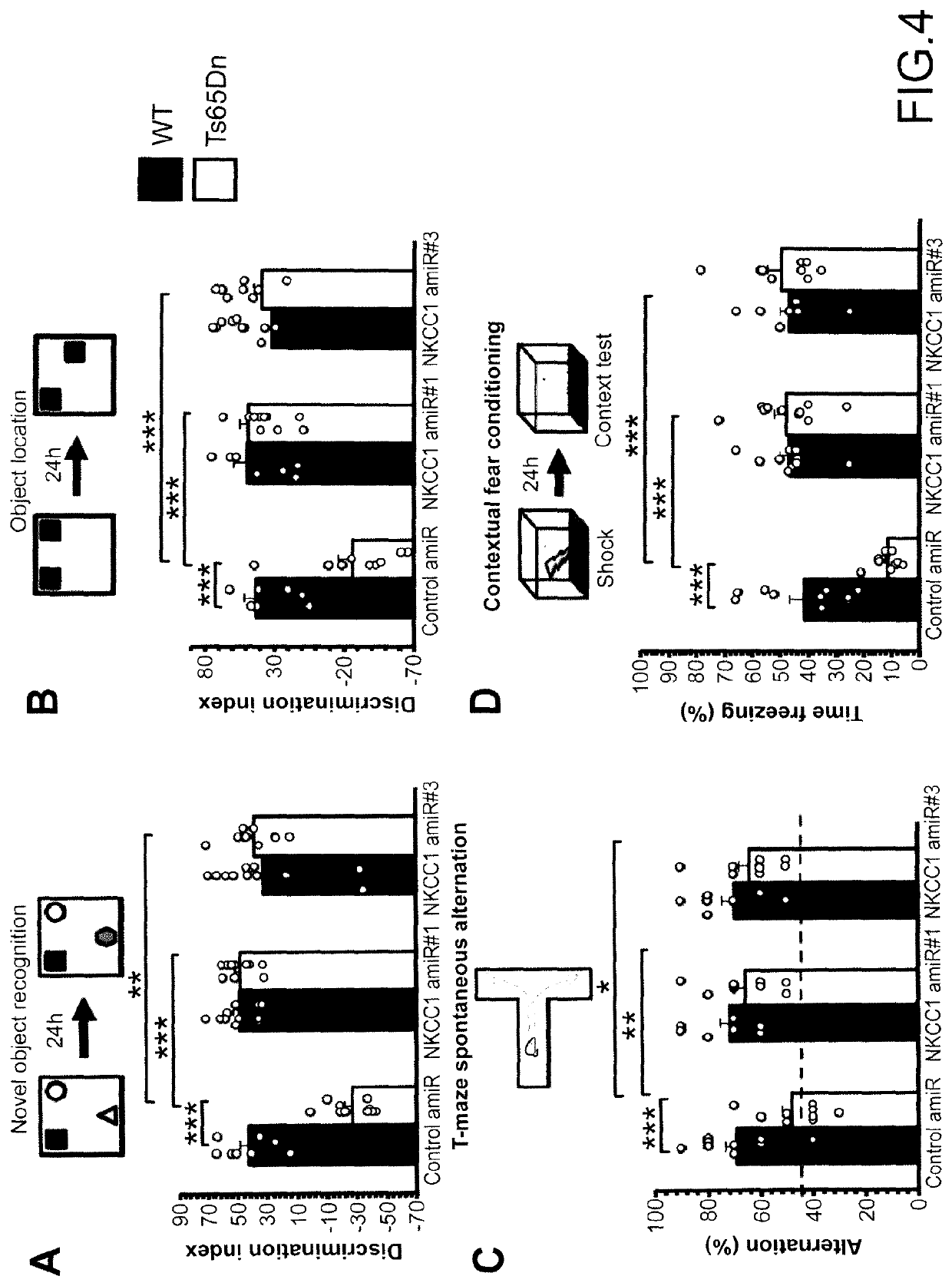 Method for reducing the expression of nkcc1 in a subject