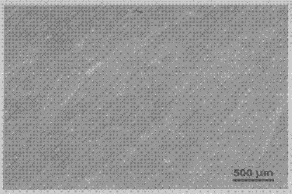 Insoluble sulfur pre-dispersed rubber masterbatch and preparation method thereof