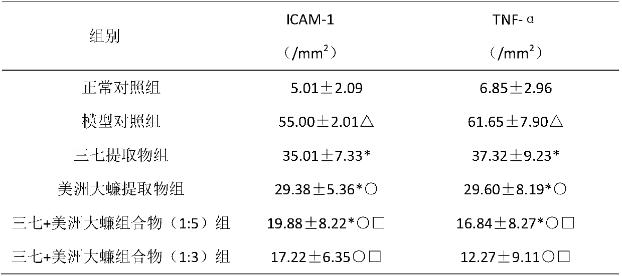 Composition of cockroaches and pseudo-ginseng, and application thereof