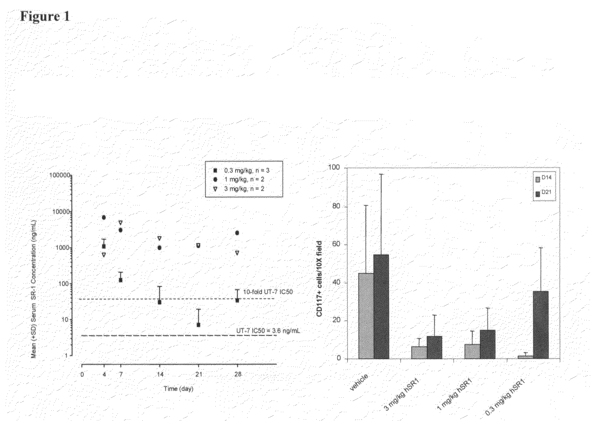 Humanized c-Kit antibody