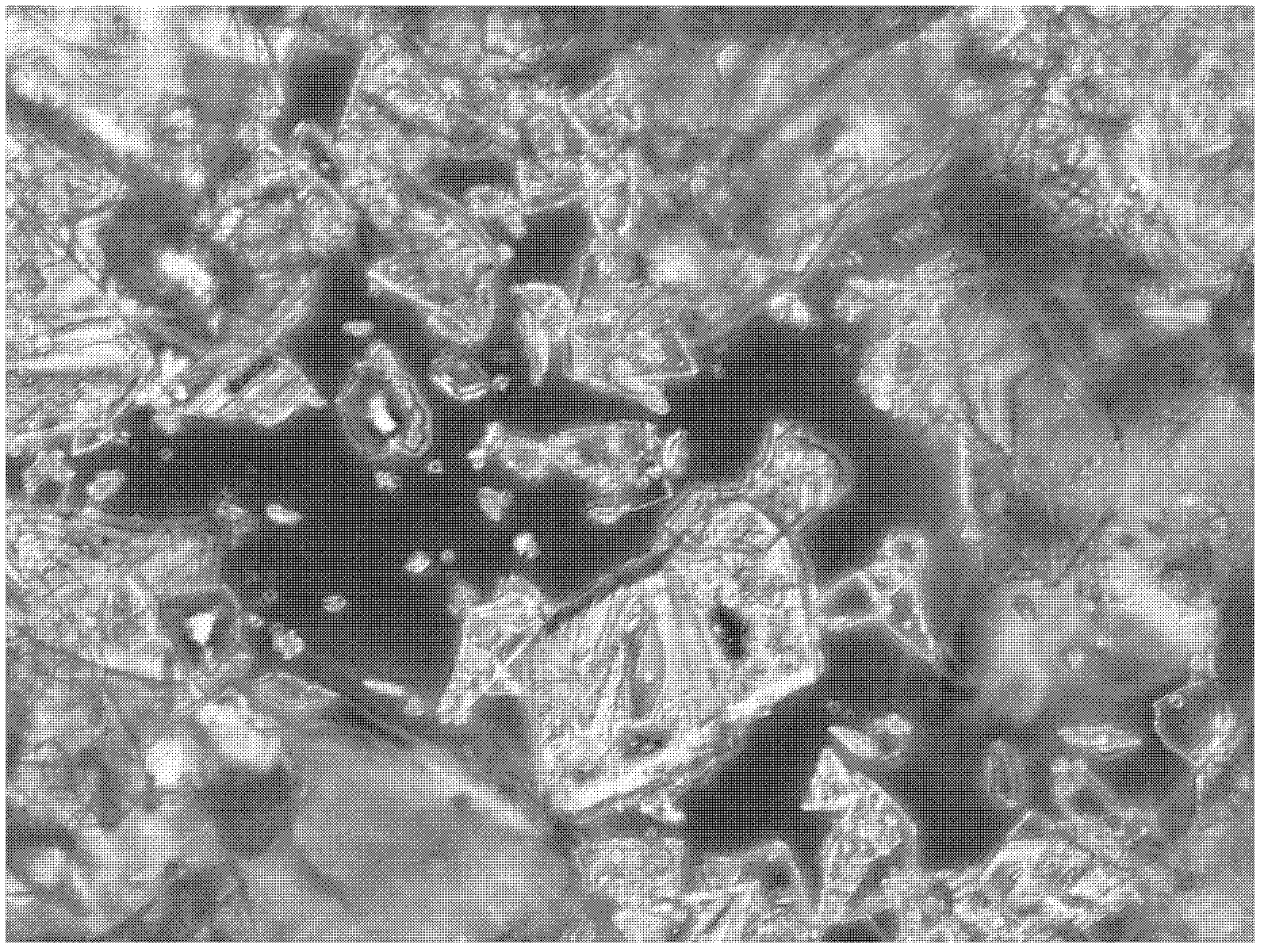 Atorvastatin amino acid and preparation method thereof