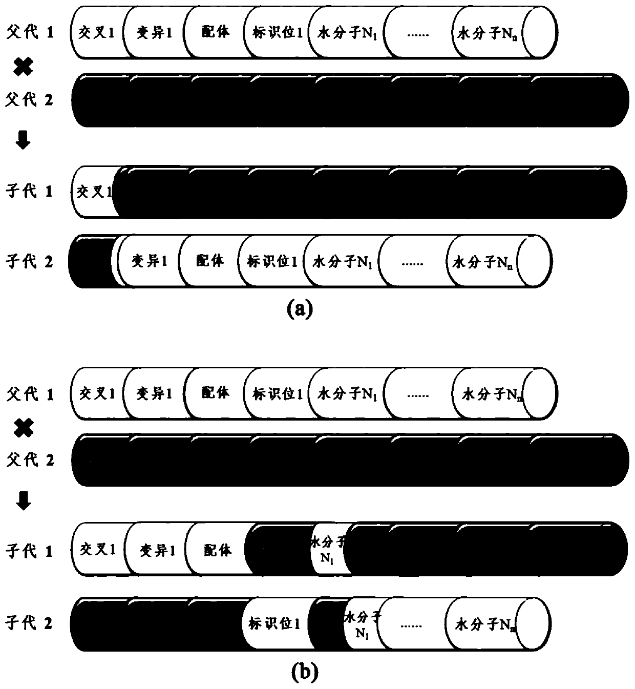 Docking method for proteins, water molecules and ligands