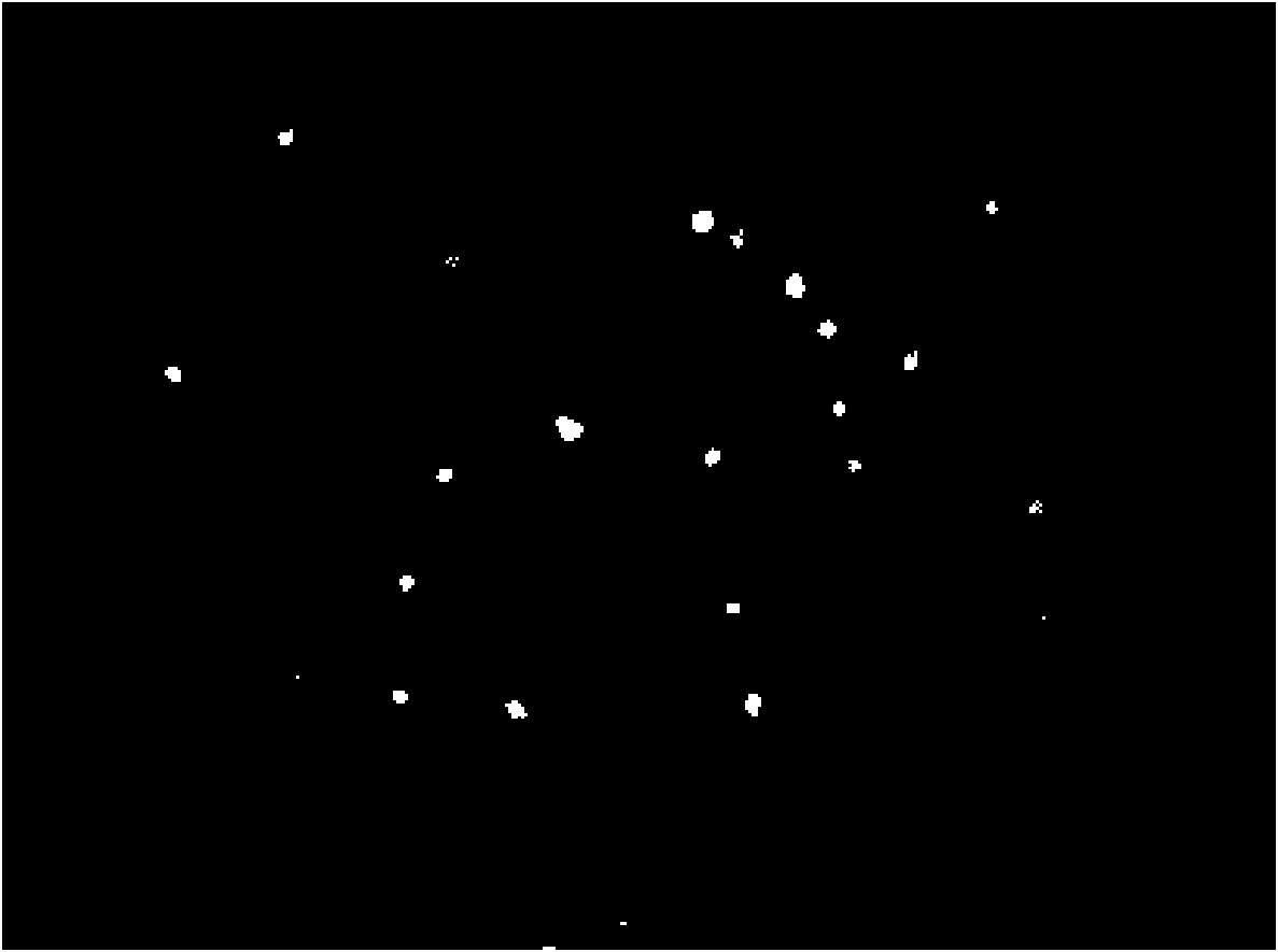 Pilatory containing Wnt protein