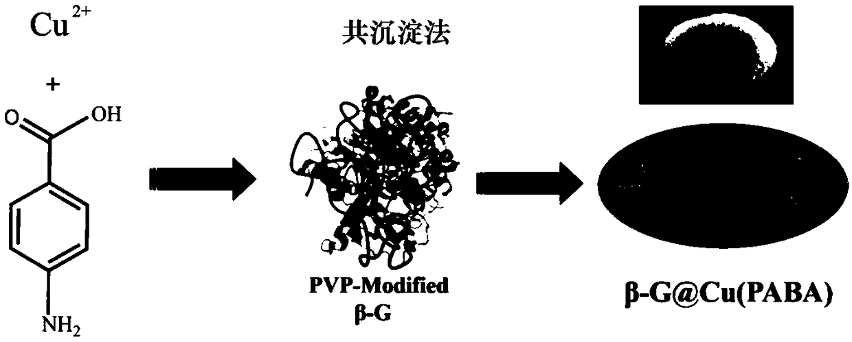 Metal organic frame material immobilized beta-glucosidase and preparation method and application thereof