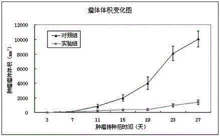 Melanoma-resistant stem cell patch and preparation method thereof