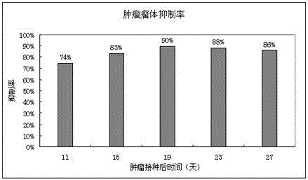 Melanoma-resistant stem cell patch and preparation method thereof