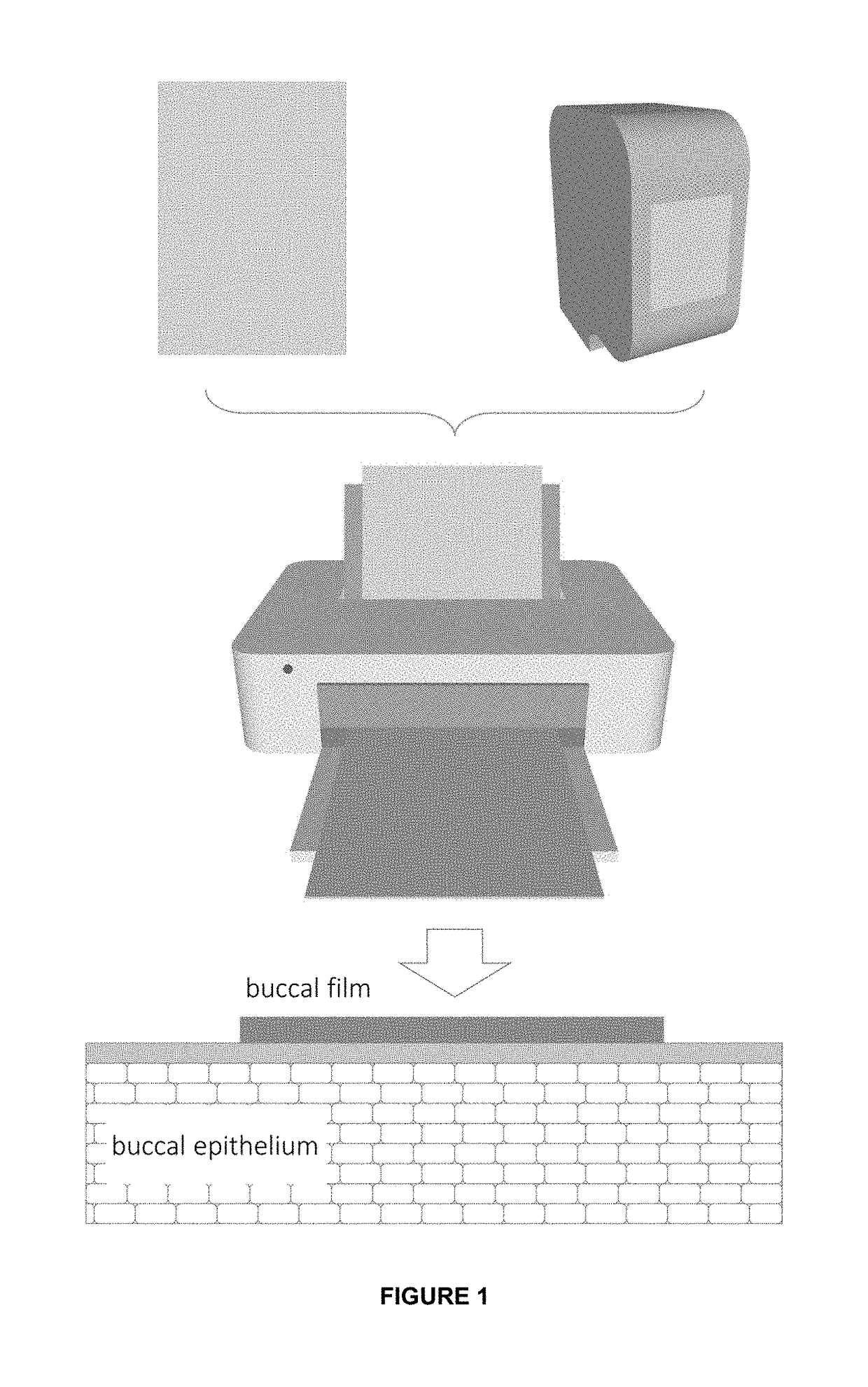 Pharmaceutical form for oral administration of a highly controlled and stable dose of nanoparticles or biomacromolecule suspensions