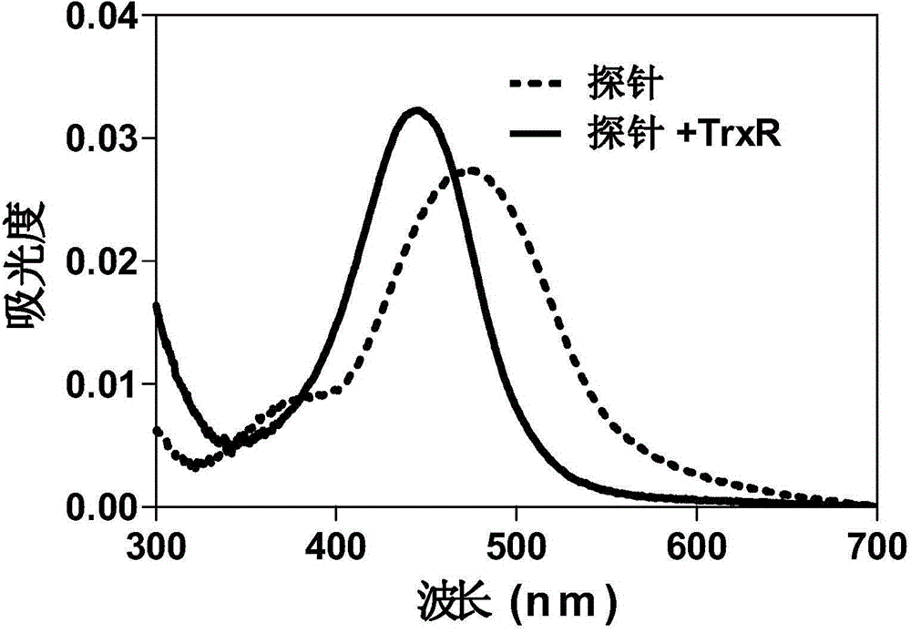 Thioredoxin reductase fluorescent probe, and preparation method and application thereof