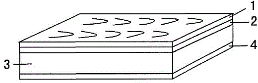 Novel magnesian board