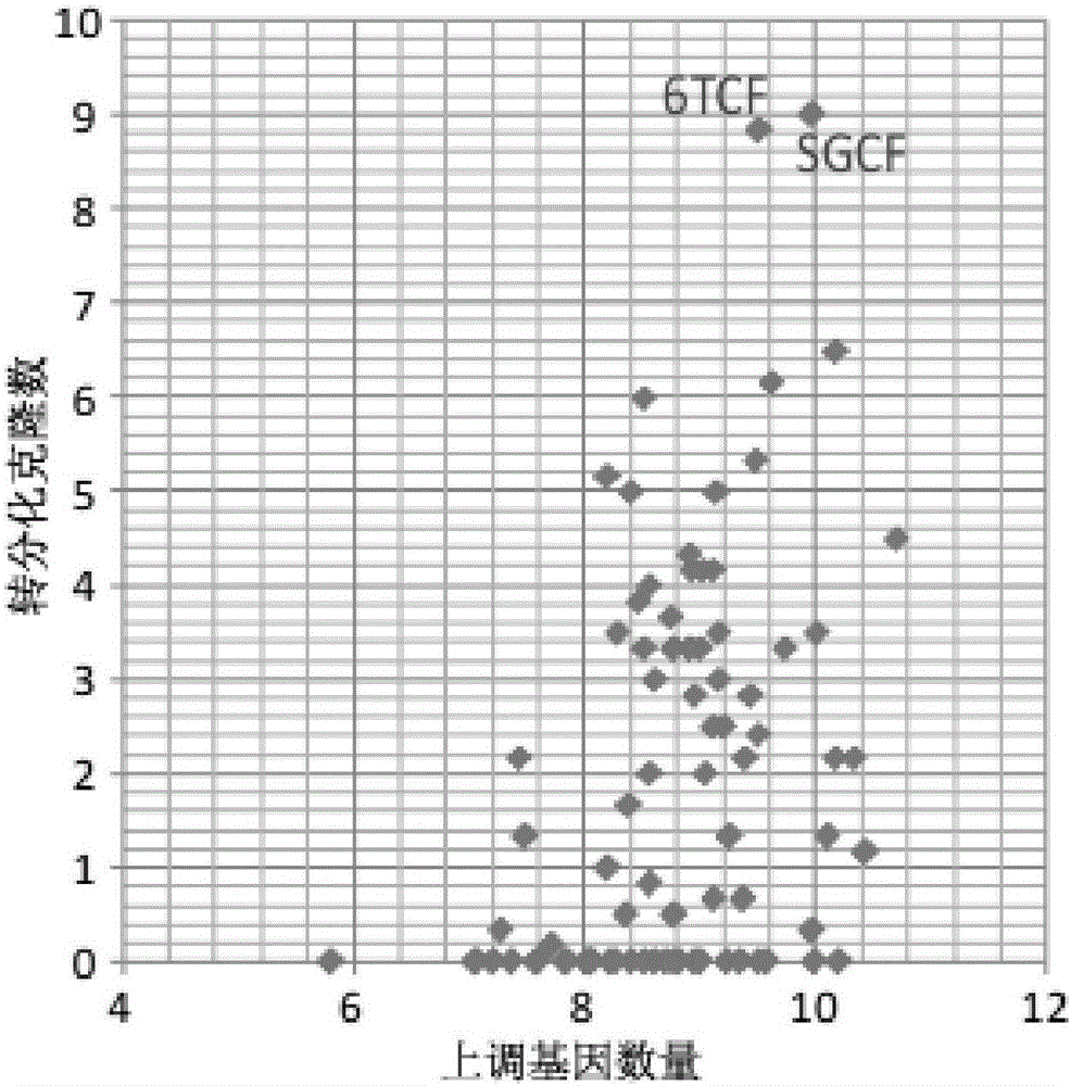 Inducing culture medium for inducing fibroblast to trans-differentiate into cardiac muscle cells and application of inducing culture medium