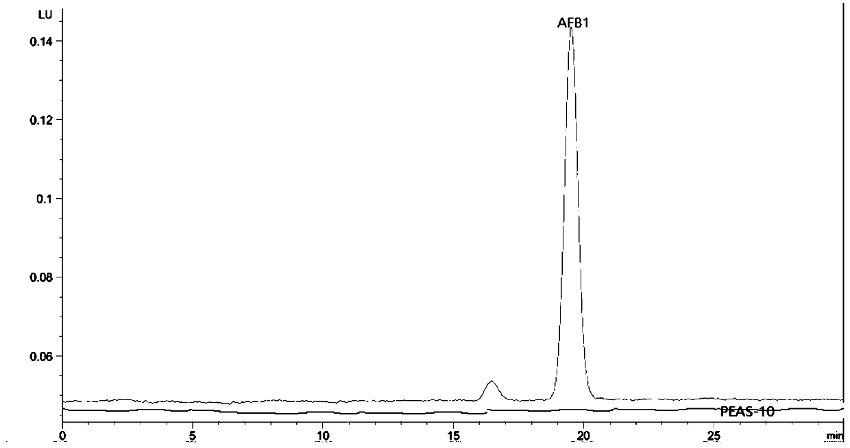 Aspergillus flavus PEAS-10 which does not produce aflatoxin and application of Aspergillus flavus PEAS-10