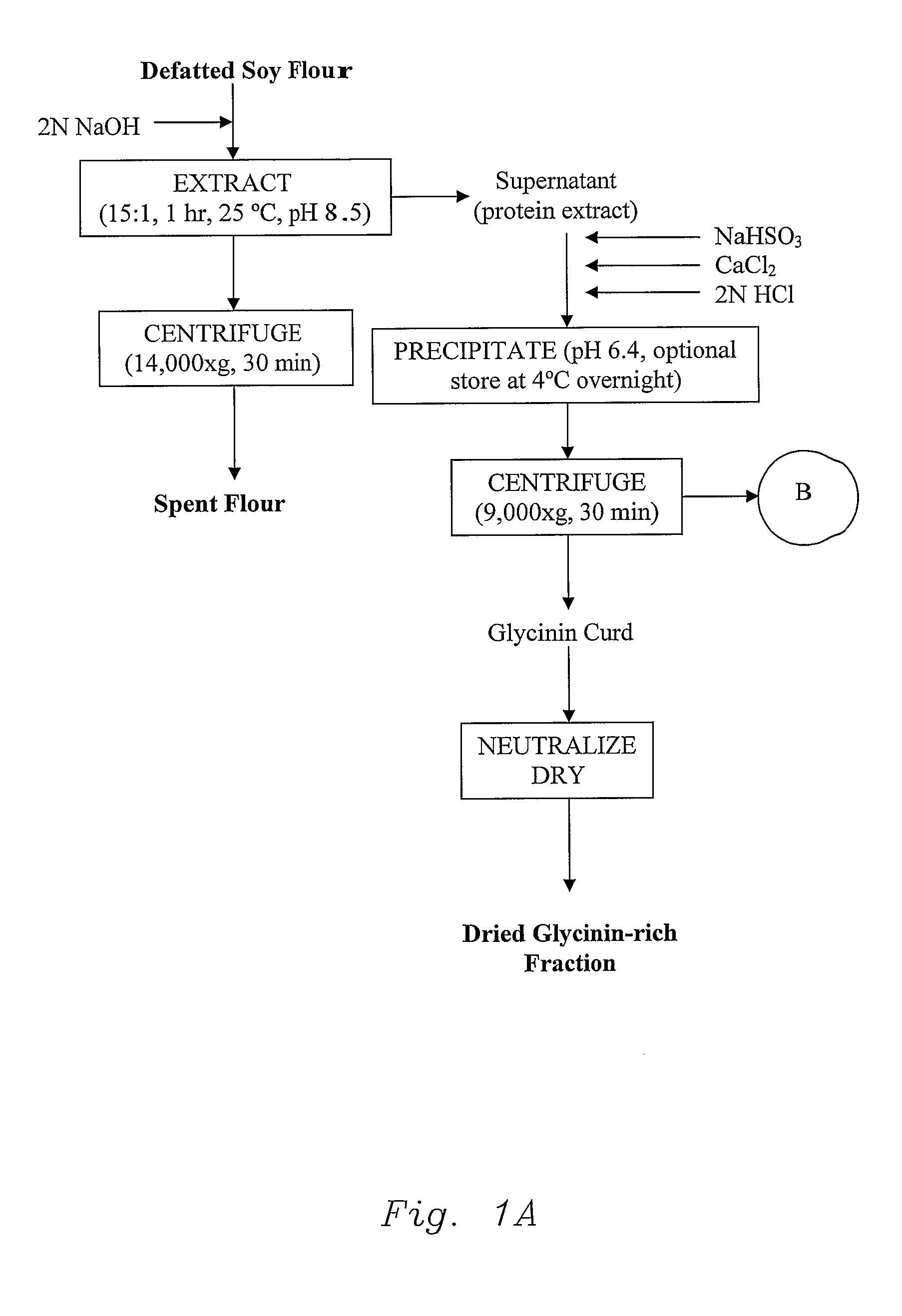 Novel Vegetable Protein Fractionization Process And Compositions