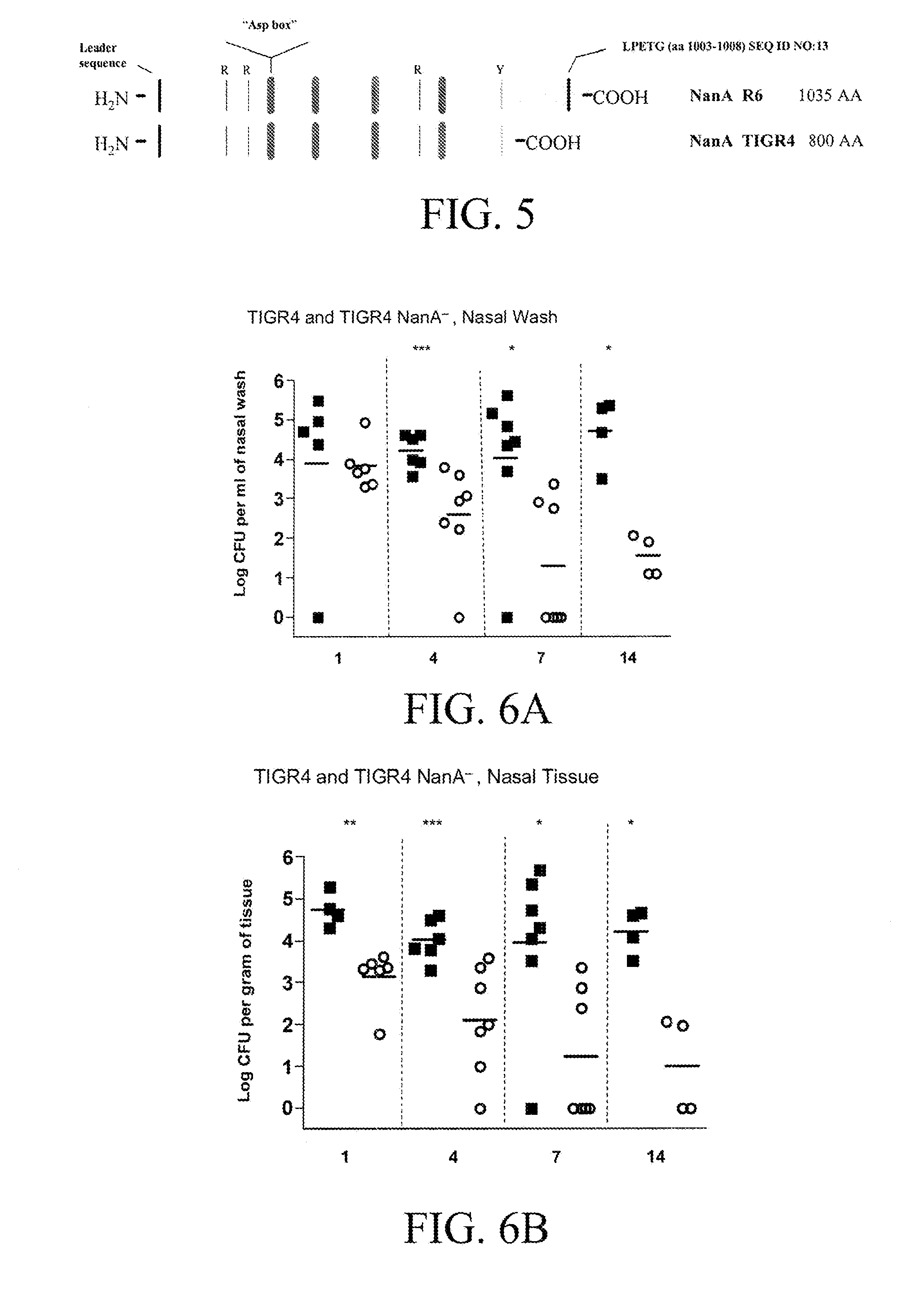 Detoxified pneumococcal neuraminidase and uses thereof