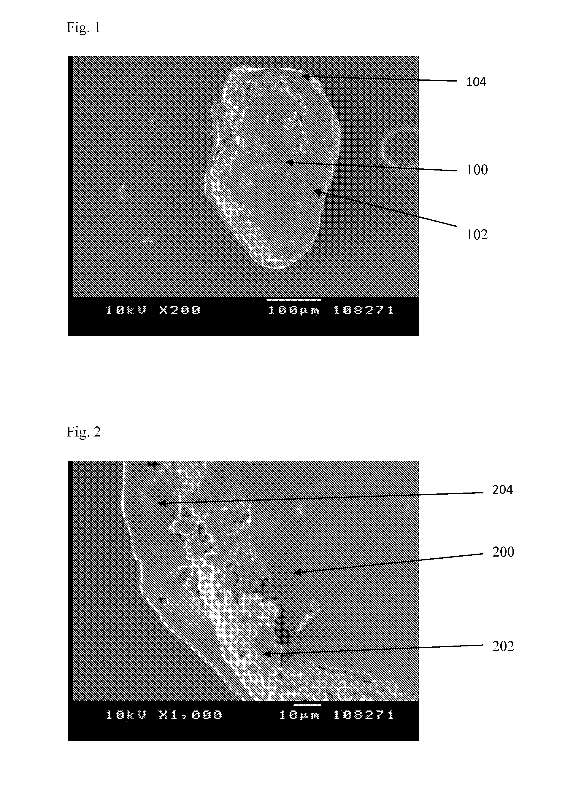 Hydrophilic matrix beadlet compositions with enhanced bioavailability